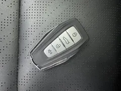 2023 Geely Emgrand 4th Gen 1.5L CVT Premium Champion — фото 16