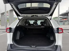 2022 Toyota Wildlander 2.0L 2WD Luxury, белый — фото 10