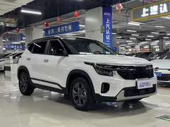 2023 Kia Seltos 1.5L IVT Luxury, белый — фото 3