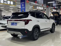 2023 Kia Seltos 1.5L IVT Luxury, белый — фото 8