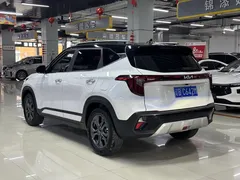 2023 Kia Seltos 1.5L IVT Luxury, белый — фото 10