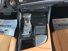 2022 Lexus ES 200 Excellence, синий — фото 16