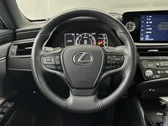 2022 Lexus ES 260 Excellence, чёрный — фото 16