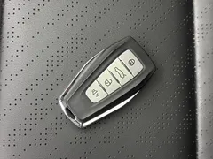 2023 Geely Emgrand 4th Gen 1.5L CVT Premium Champion — фото 18