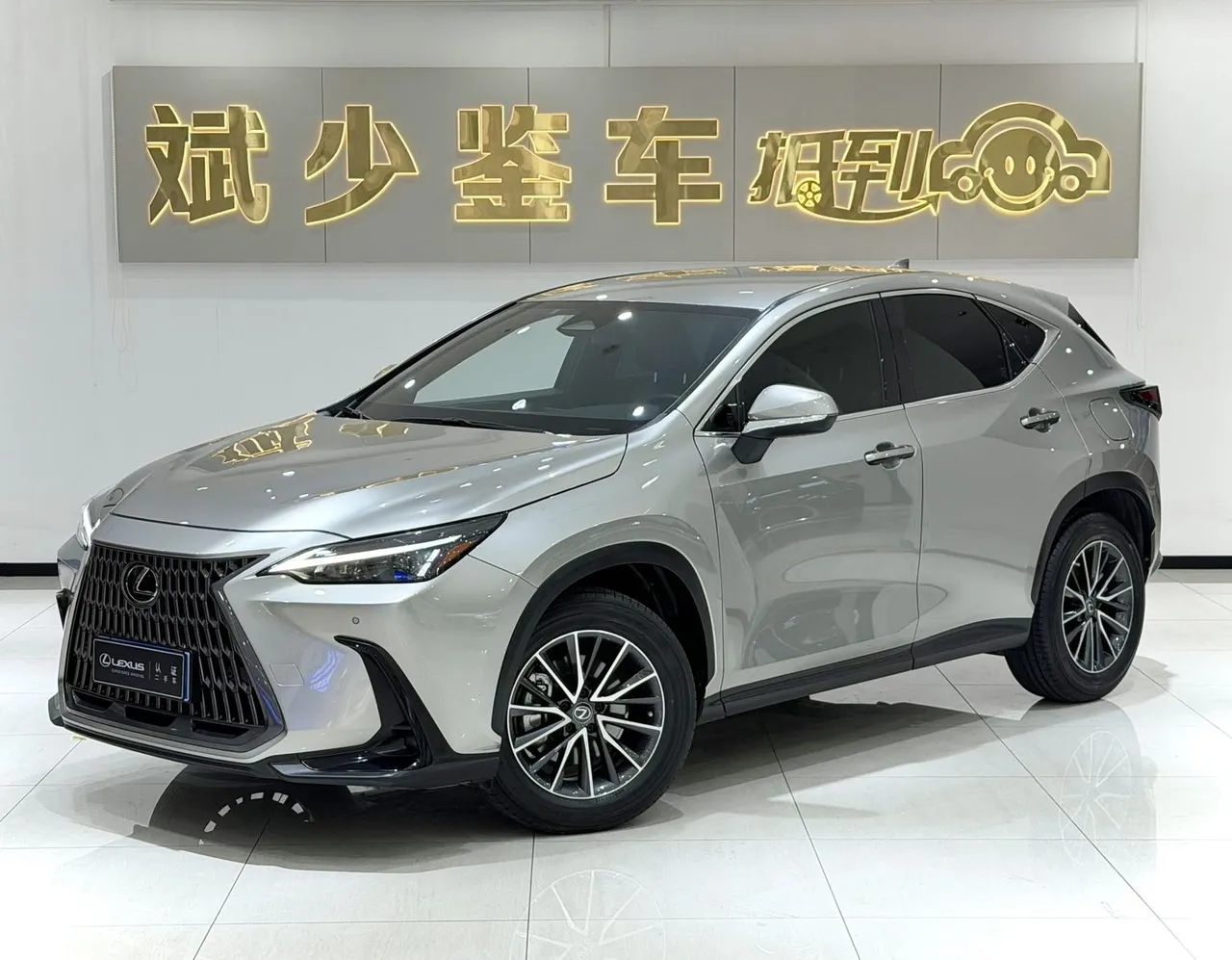 2022 Lexus NX 260 2WD