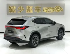 2022 Lexus NX 260 2WD — фото 9