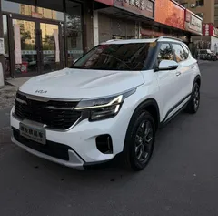 2023 Kia Seltos 1.5L IVT Luxury, белый — фото 1