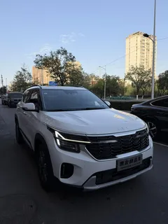 2023 Kia Seltos 1.5L IVT Luxury, белый — фото 2