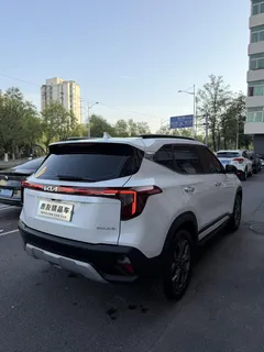 2023 Kia Seltos 1.5L IVT Luxury, белый — фото 3