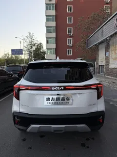 2023 Kia Seltos 1.5L IVT Luxury, белый — фото 4