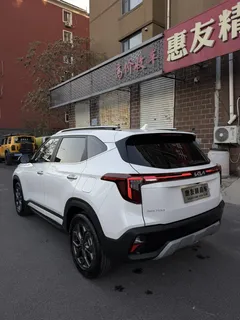 2023 Kia Seltos 1.5L IVT Luxury, белый — фото 5
