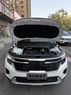 2023 Kia Seltos 1.5L IVT Luxury, белый — фото 8