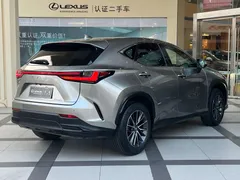 2023 Lexus NX 260 2WD — фото 14