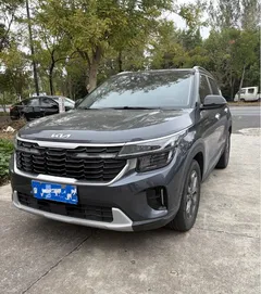 2023 Kia Seltos 1.5L IVT Luxury — фото 1