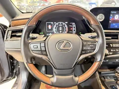 2021 Lexus ES 200 Luxury, чёрный — фото 12