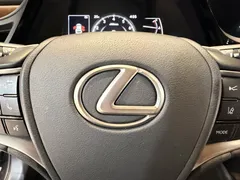 2021 Lexus ES 200 Luxury, чёрный — фото 14