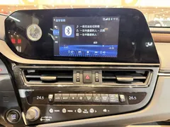 2021 Lexus ES 200 Luxury, чёрный — фото 16