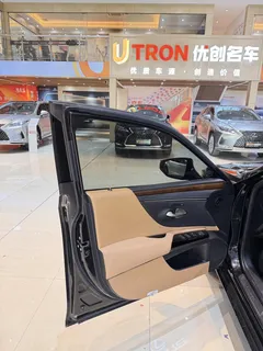 2021 Lexus ES 200 Luxury, чёрный — фото 20