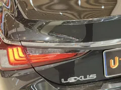 2021 Lexus ES 200 Luxury, чёрный — фото 27