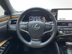 2022 Lexus ES 200 Luxury — фото 11