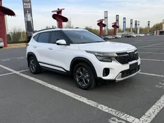 2023 Kia Seltos 1.5L IVT Luxury, белый — фото 3
