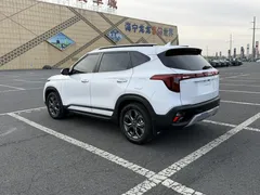 2023 Kia Seltos 1.5L IVT Luxury, белый — фото 6