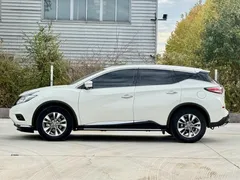 2021 Nissan Murano 2.5L XL 2WD Luxury, белый — фото 8