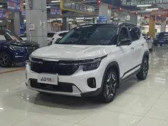 2023 Kia Seltos 1.5L IVT Premium, белый — фото 1