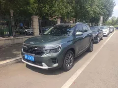 2023 Kia Seltos 1.5L IVT Luxury, зелёный — фото 1