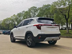 2023 Kia Seltos 1.5L IVT Luxury, белый — фото 6