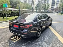 2021 BMW 5 Series 530Li Leading Luxury Package, чёрный — фото 10