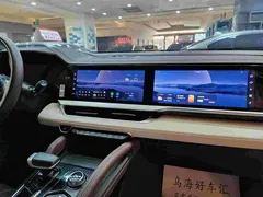 2021 Geely Monjaro L 2.0TD DCT EVO 2WD — фото 9