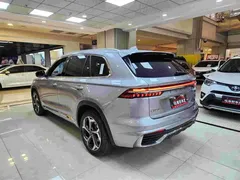 2021 Geely Monjaro L 2.0TD DCT EVO 2WD — фото 14