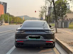 2023 Porsche Panamera New Energy modified Panamera 4 E-Hybrid Platinum 2.9T — фото 5