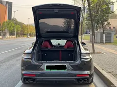 2023 Porsche Panamera New Energy modified Panamera 4 E-Hybrid Platinum 2.9T — фото 8