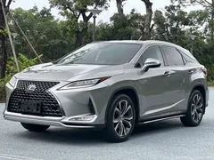2020 Lexus RX 300 4WD — фото 1