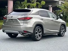 2020 Lexus RX 300 4WD — фото 4
