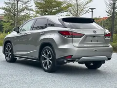 2020 Lexus RX 300 4WD — фото 6
