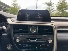 2020 Lexus RX 300 4WD — фото 14