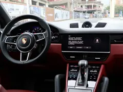 2022 Porsche Cayenne 3.0T Platinum — фото 15