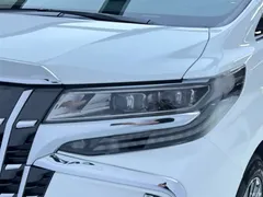 2021 Toyota Alphard Hybrid 2.5L Luxury — фото 13