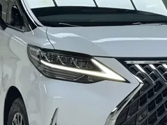 2020 Lexus LM 300h, белый — фото 4