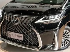 2020 Lexus LM 300h, чёрный — фото 22