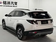2023 Hyundai Tucson L 1.5T AT 2WD LUX Premium, белый — фото 6