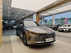 2023 BYD Destroyer 05 Champion DM-i PHEV 55km Luxury — фото 4