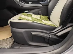 2023 BYD Destroyer 05 Champion DM-i PHEV 55km Luxury — фото 10