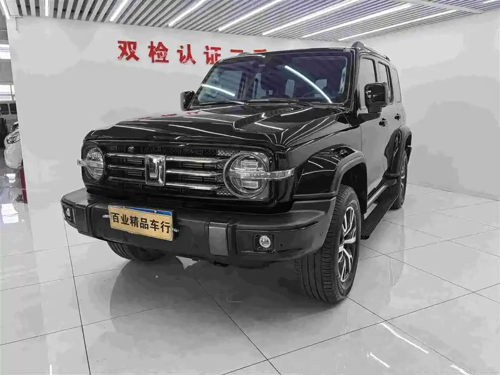 2021 Tank 300 2.0T