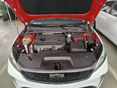 2021 Geely Binrui 1.4T CVT Asian Games Edition, белый — фото 9