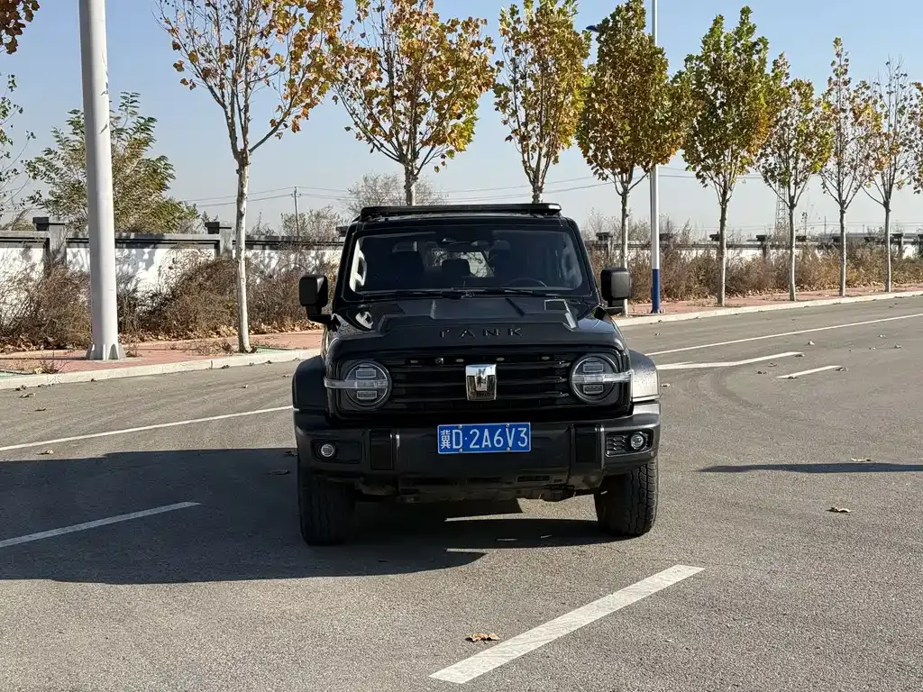 2021 Tank 300 2.0T
