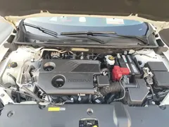 2023 Nissan Sylphy 1.6L CVT, белый — фото 17